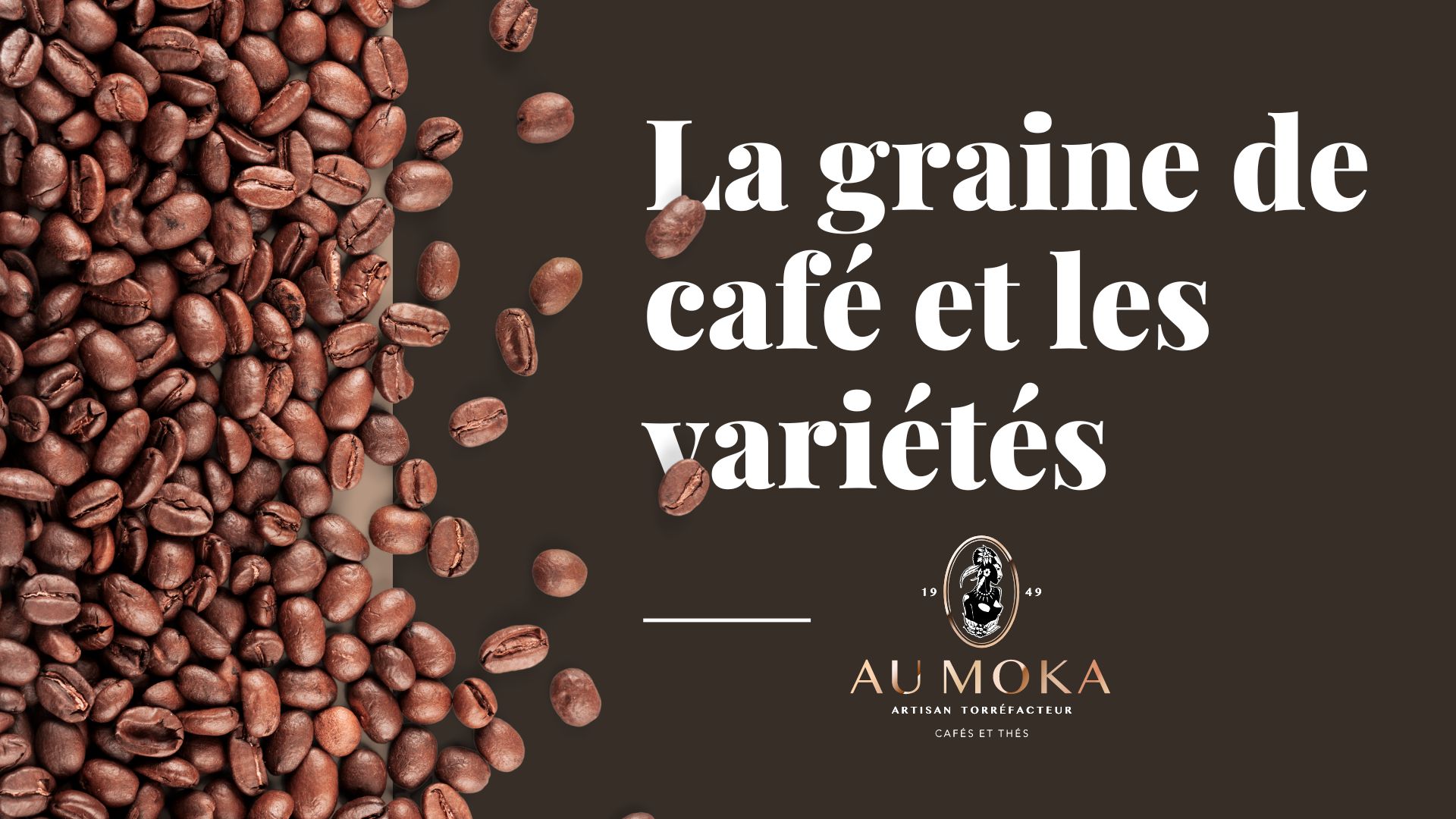 La graine de café et ses variétés - Au Moka